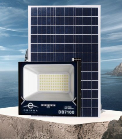 Đèn pha sân vườn ORIANA công suất 100w 