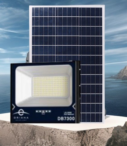 Đèn pha sân vườn ORIANA công suất 300w 